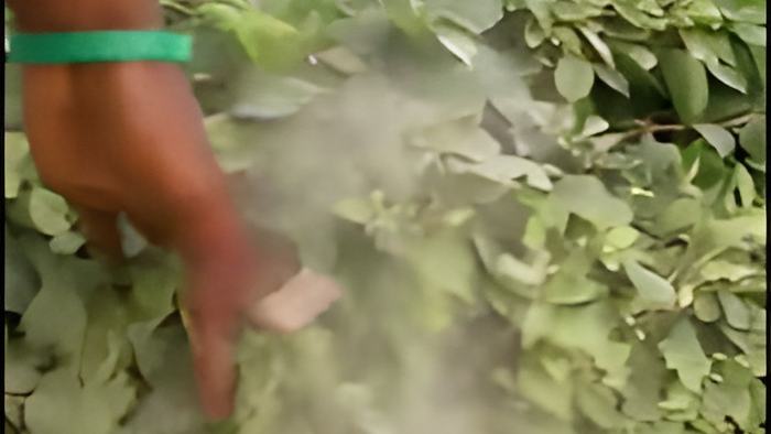 dust2.sept6.13.jpg