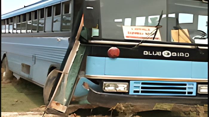 bus15.9.11.jpg