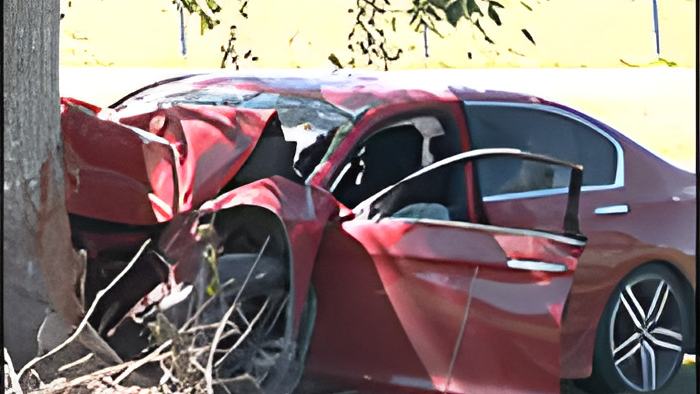 7news7.2.24b1.jpg