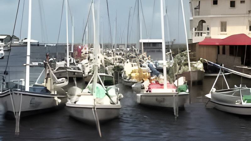 071608c.jpg