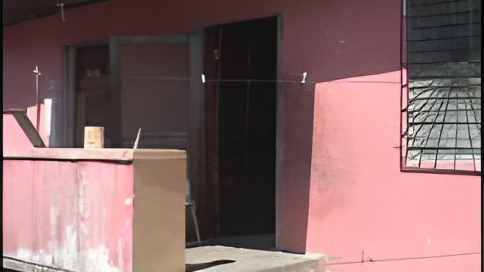 door.4.5b.jpg