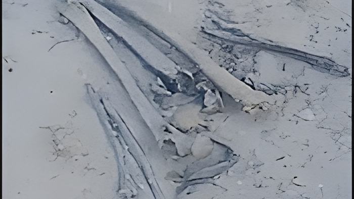 bones2.2.18.jpg