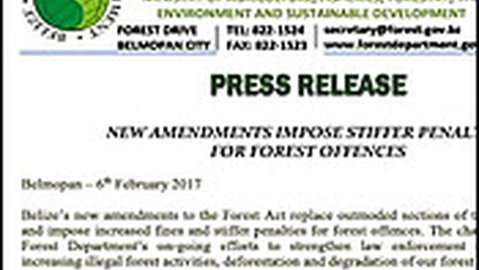 forestry6.2.17.jpg