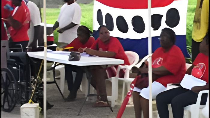 elections.july8.2015.jpg