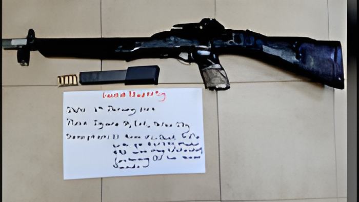 gun6.1.17.jpg