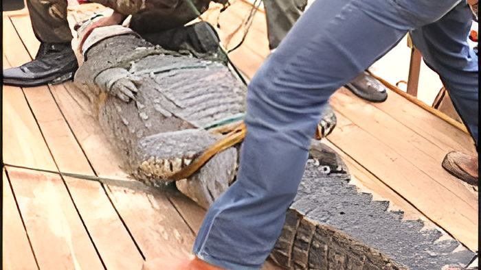 croc14.3.17.jpg