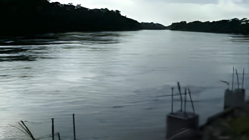 102801c.jpg