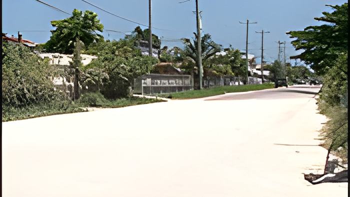 boulevard26.3.18.jpg