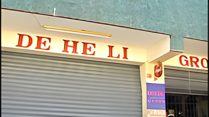 dehili30.12.11.jpg
