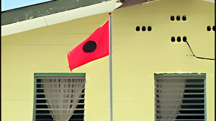 flag6.8.12.jpg