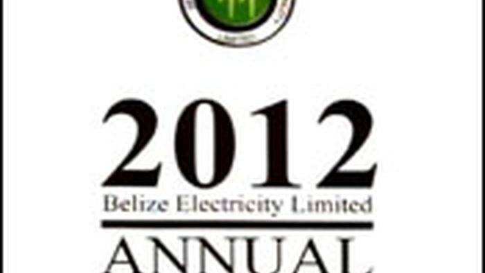 annualreport.june21.13.jpg