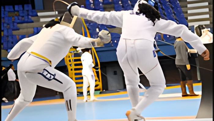 fencing29.11.12.jpg