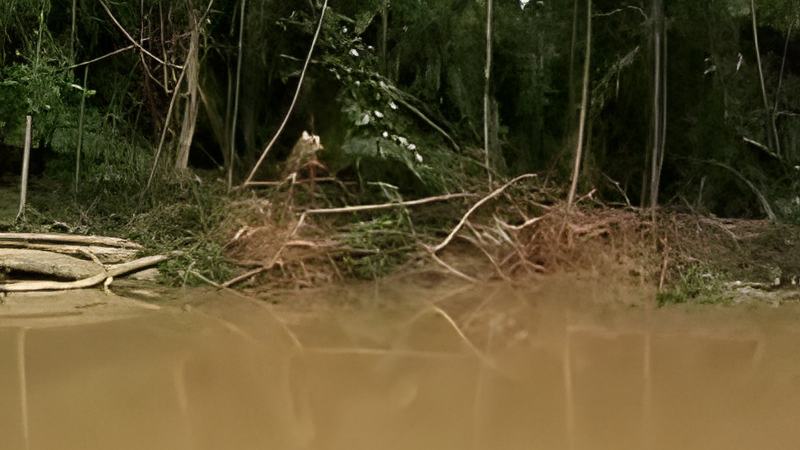 060510c.jpg