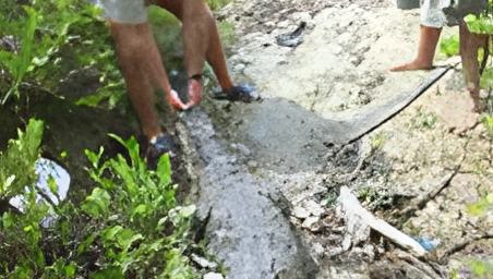 croc1.may8.13.jpg