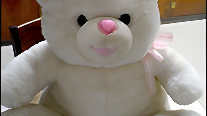 pinkteddy.jpg