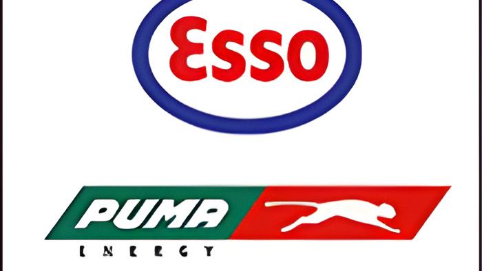 puma29.3.jpg