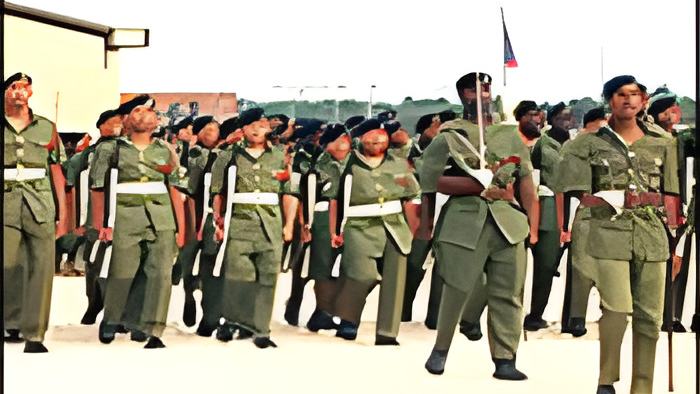 bdf30.1.15a.jpg