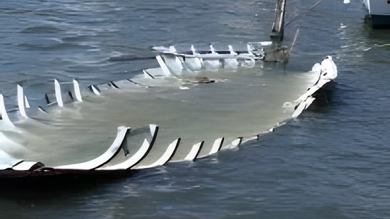 113001d.jpg