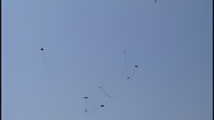 kites.march.12.2013.jpg