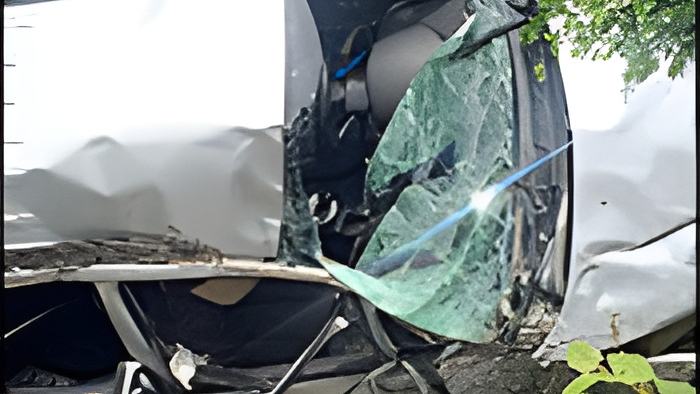 flip17.8.15.jpg