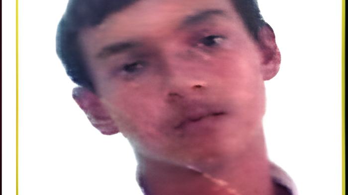 sibley.jpg