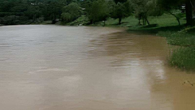 081905d.jpg