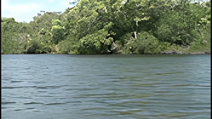 river.aug5.19.jpg