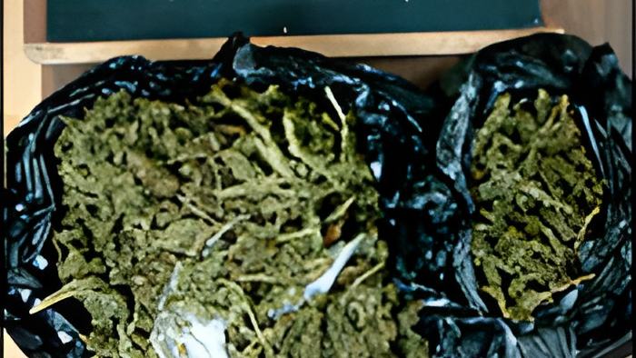 weed6.12.12.jpg