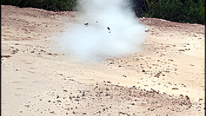 dynamite19.12.14b.jpg
