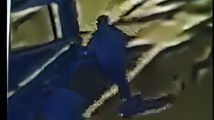1101424frng1.jpg