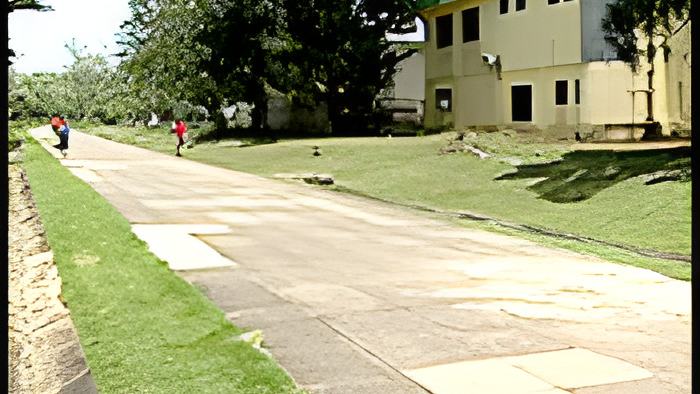 walk24.6.14.jpg