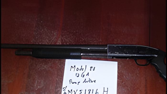 gun.aug2.2017.jpg