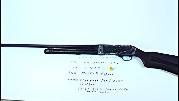 gun3.12.12.jpg