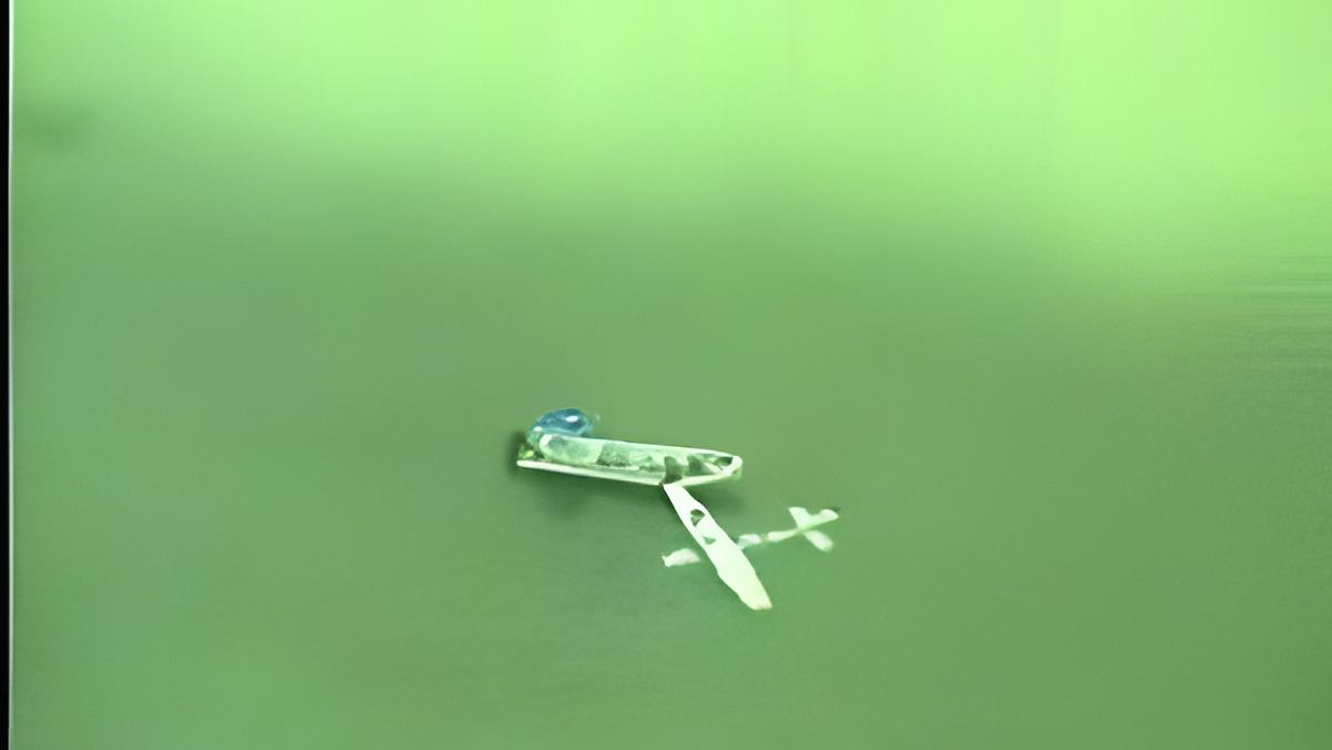 110709a.jpg
