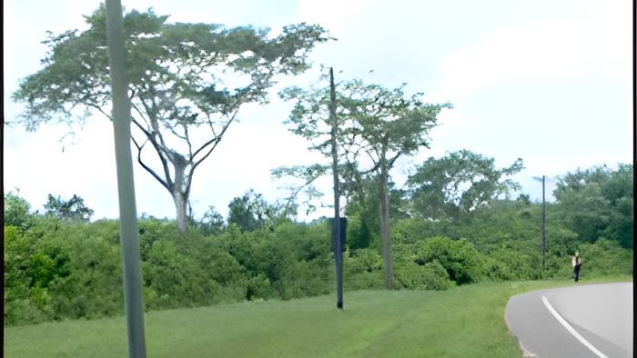 081524crdlhsp2.jpg