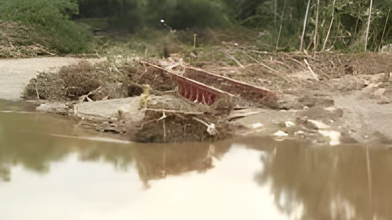 060407c.jpg