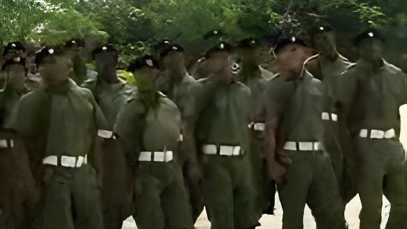 013009d.jpg
