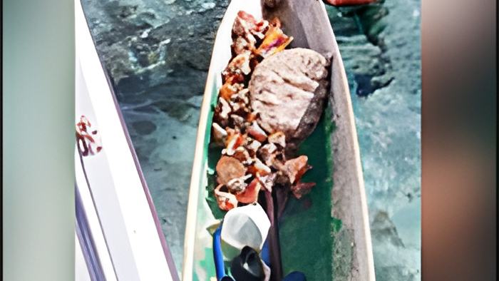 conch5.7.19a.jpg