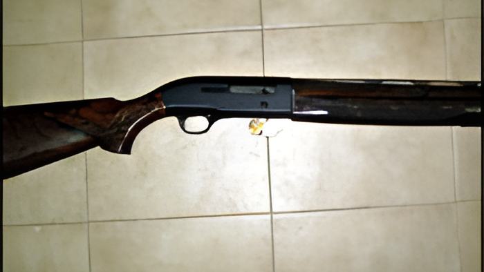 gun9.10.12.jpg