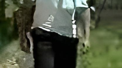 071602d.jpg