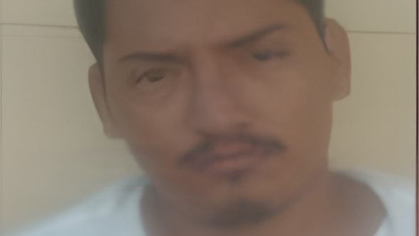 082801c.jpg