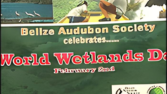 wetland2.2.18.jpg