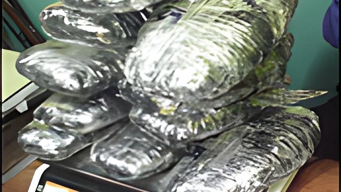 weed19.3.15.jpg