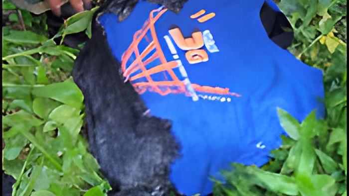 vest11.9.12.jpg
