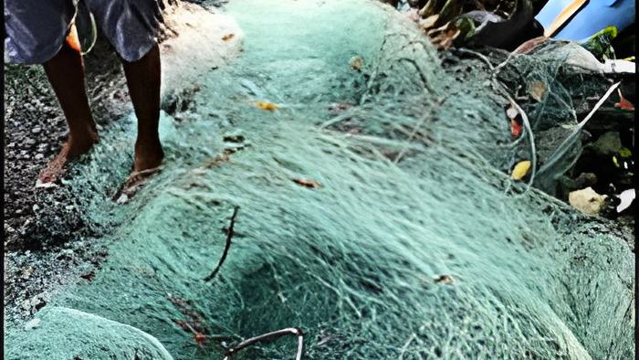 gillnet.jun5.19.jpg