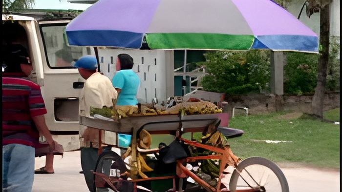 fruitvendor.jpg