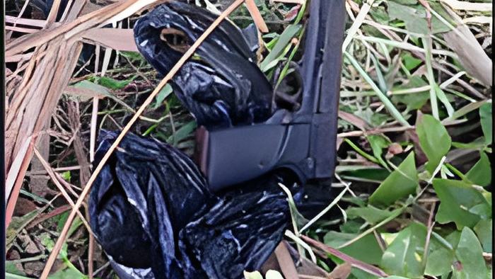 gun1.8.17.jpg