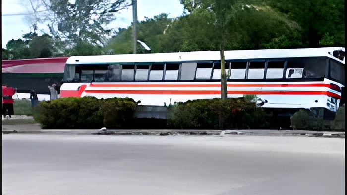bus.jpg