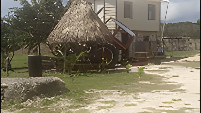 tractor5.3.18.jpg
