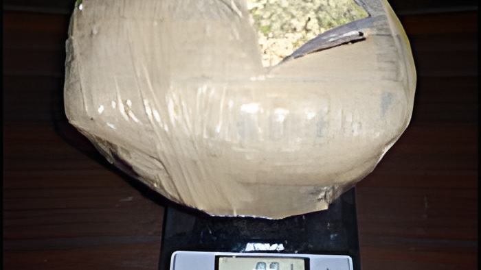 weed13.2.15.jpg